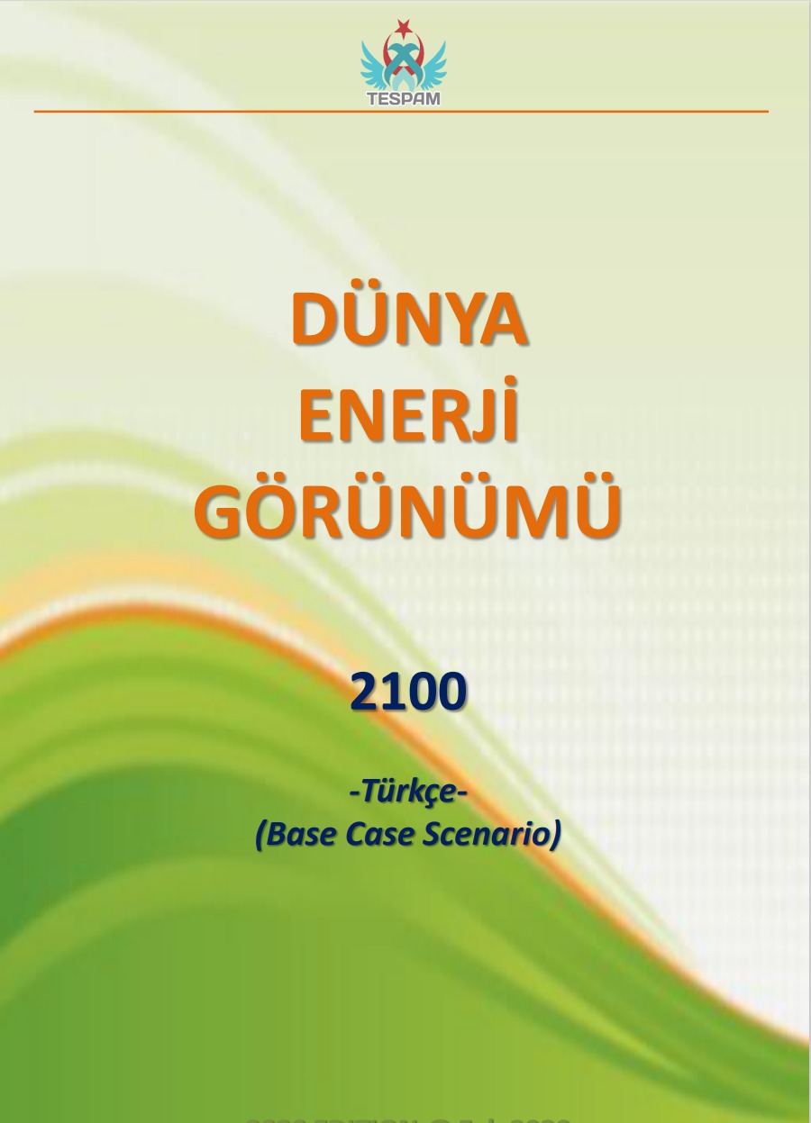 Dünya Enerji̇ Görünümü